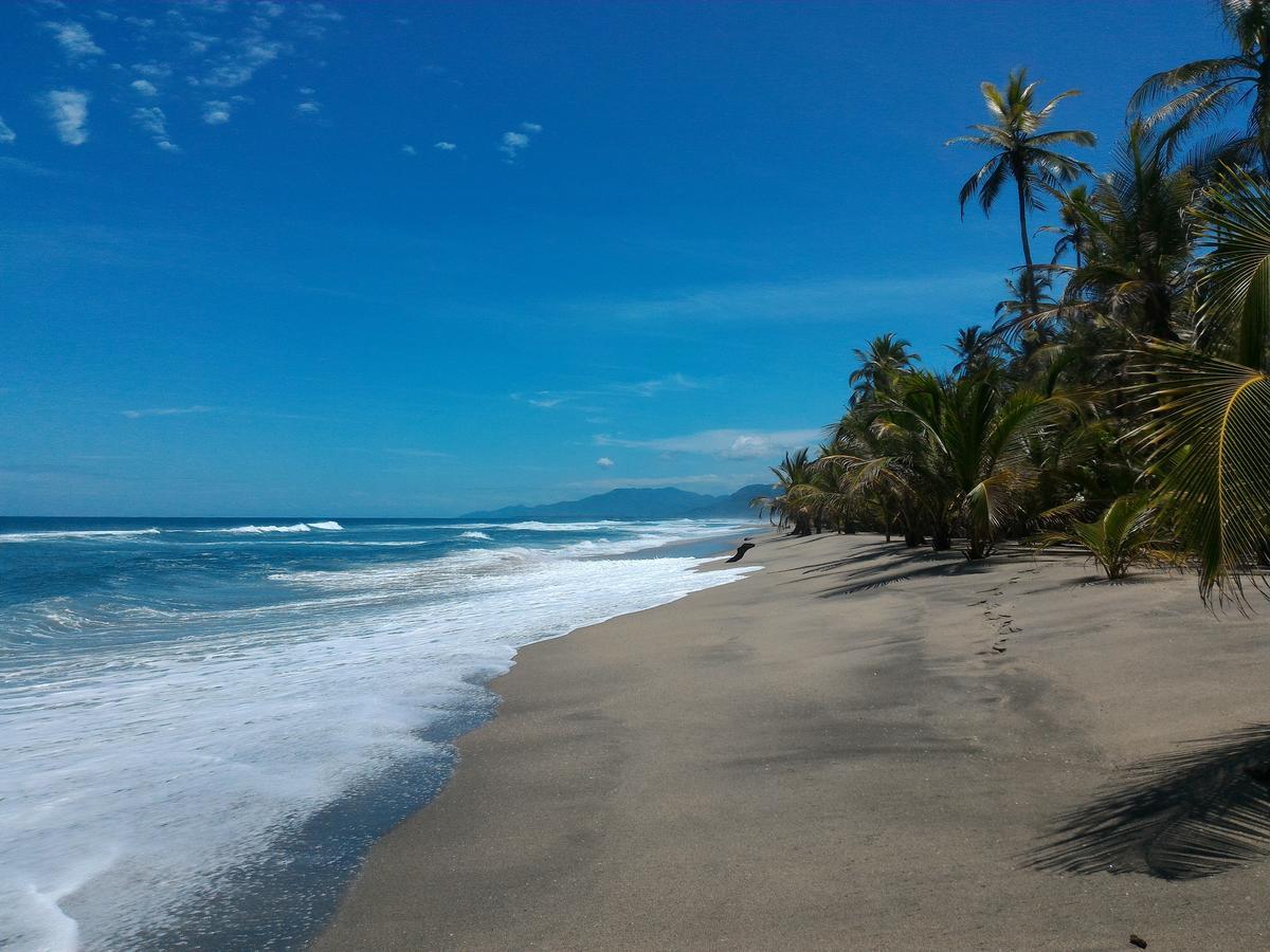 Playa Pikua Ecolodge Guachaca Ngoại thất bức ảnh